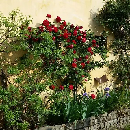 La Canonica Oggebbio