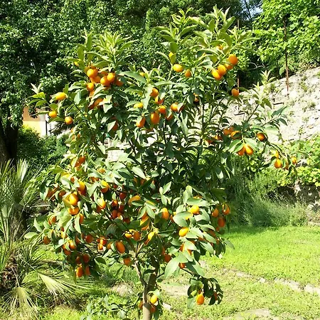 Otel La Canonica Oggebbio